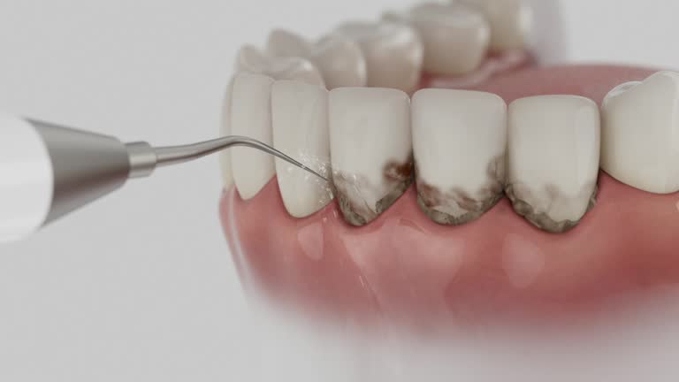 Reliable Dental contractor in Muncy, PA by Dentist Open Now